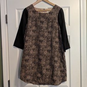 Jack by BB Dakota Dress